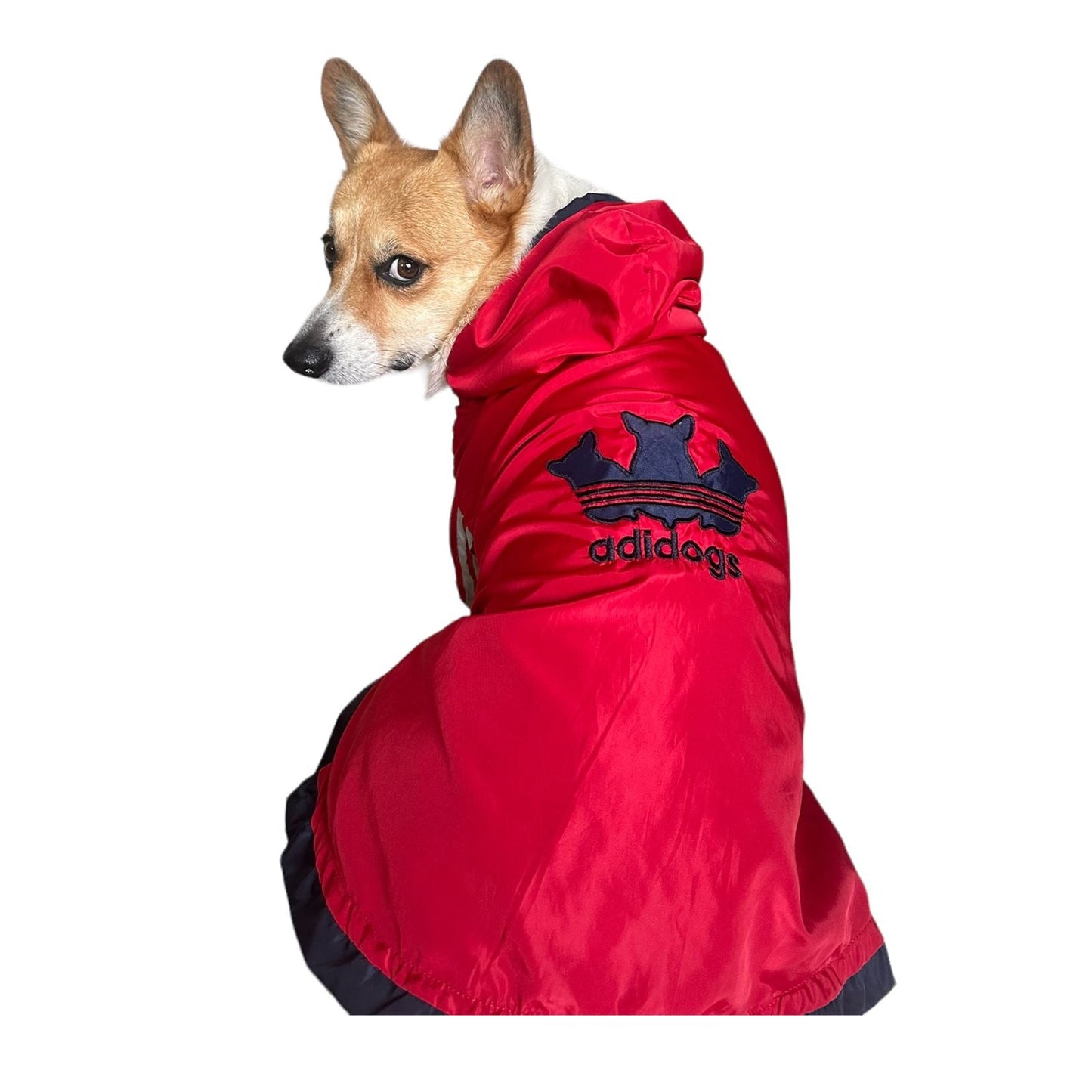 Adidog - Chamarra Impermebale - MiPerro.com