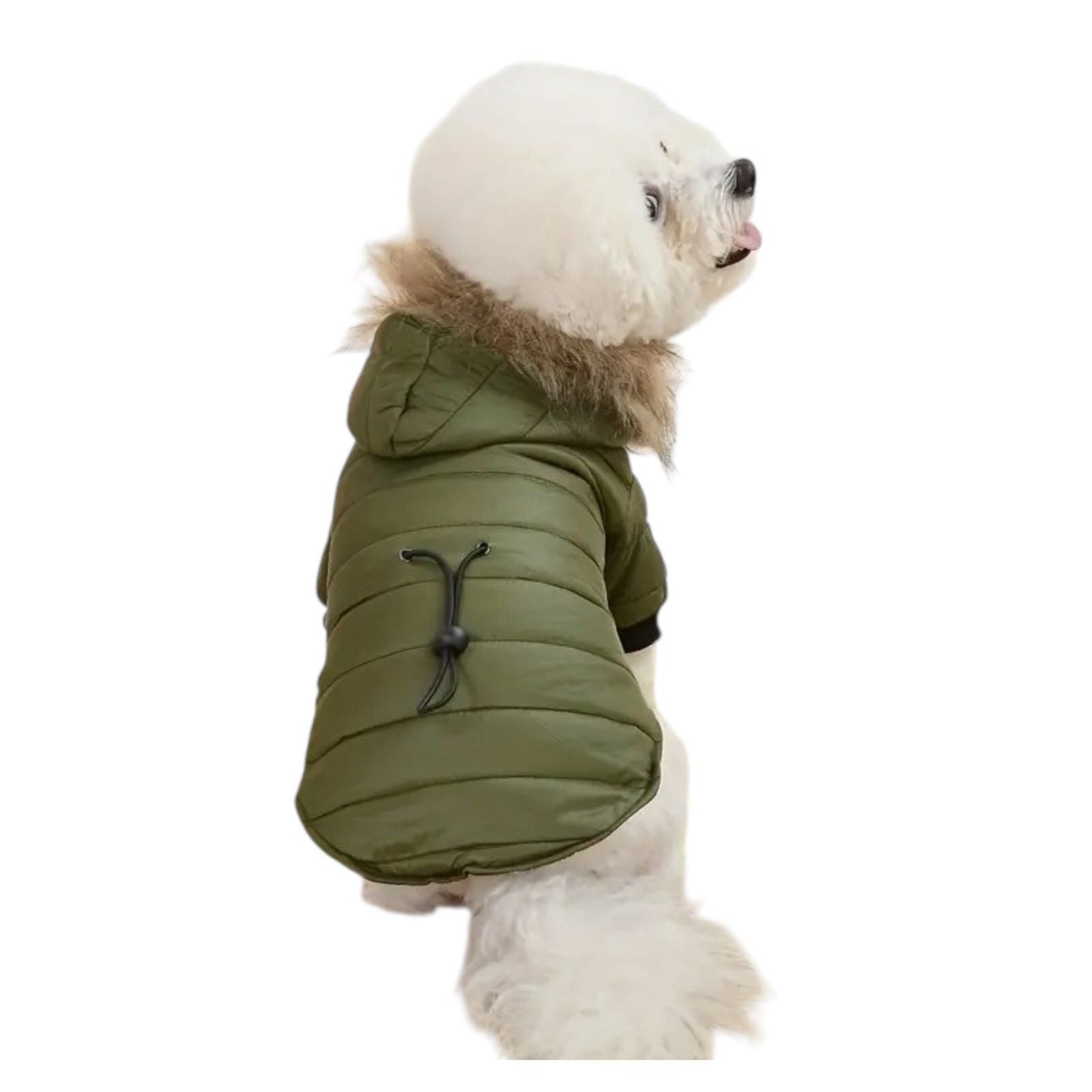 Chamarra con Capucha Color Verde - MiPerro.com