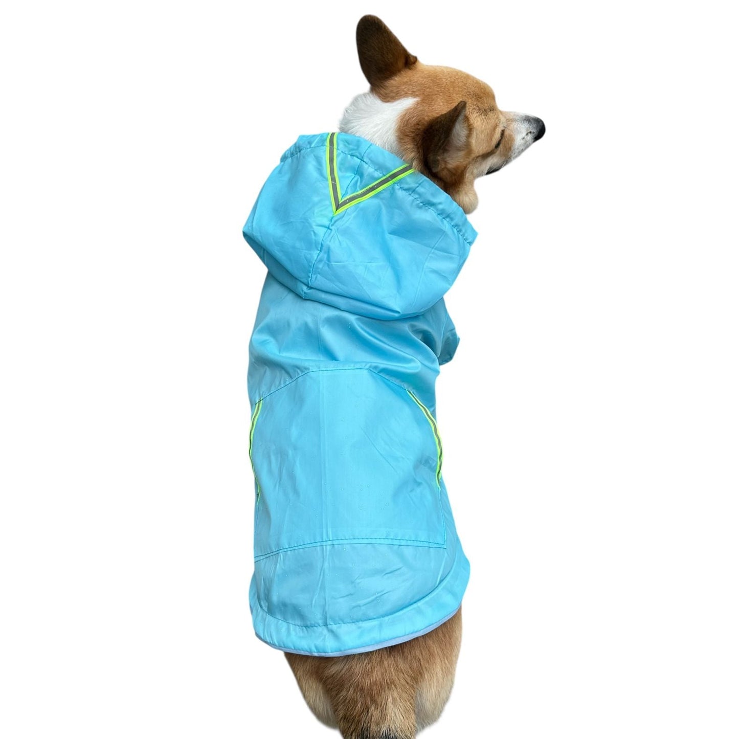 Chamarra Impermebale - MiPerro.com