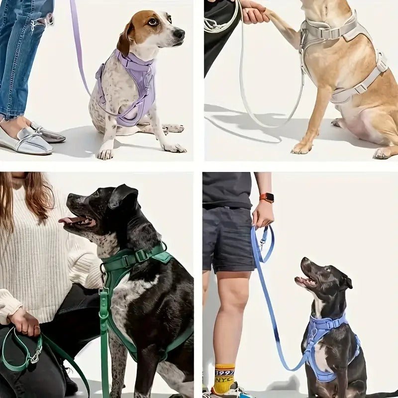Conjunto para Paseo Color Amarillo - MiPerro.com