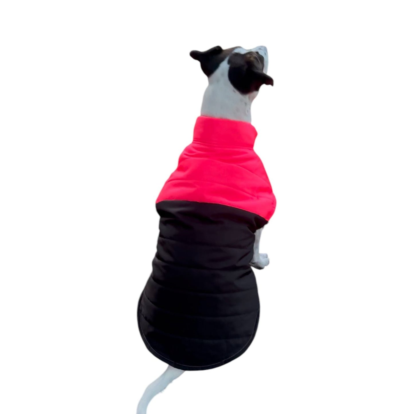 Miperro - Chaleco Acolchado - MiPerro.com