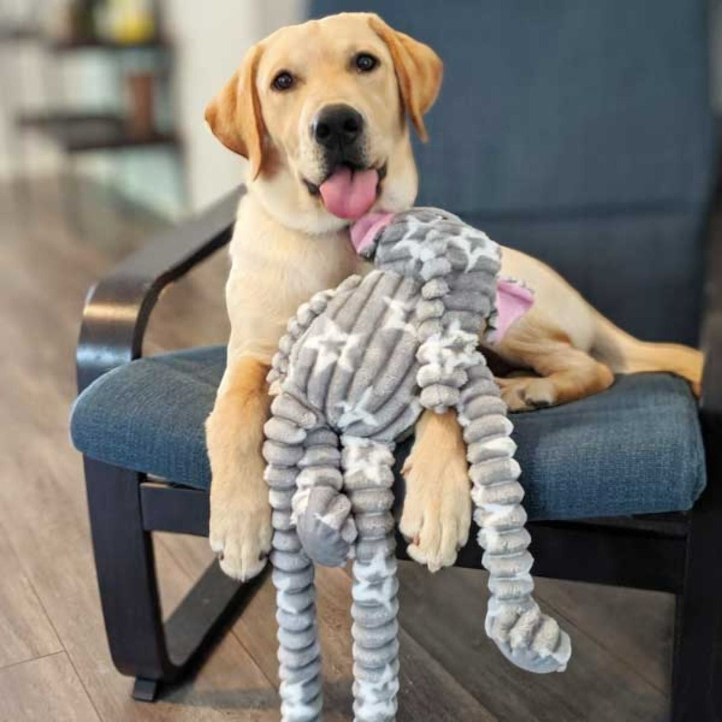 Patchworkpet - Ellie the Elephant - MiPerro.com