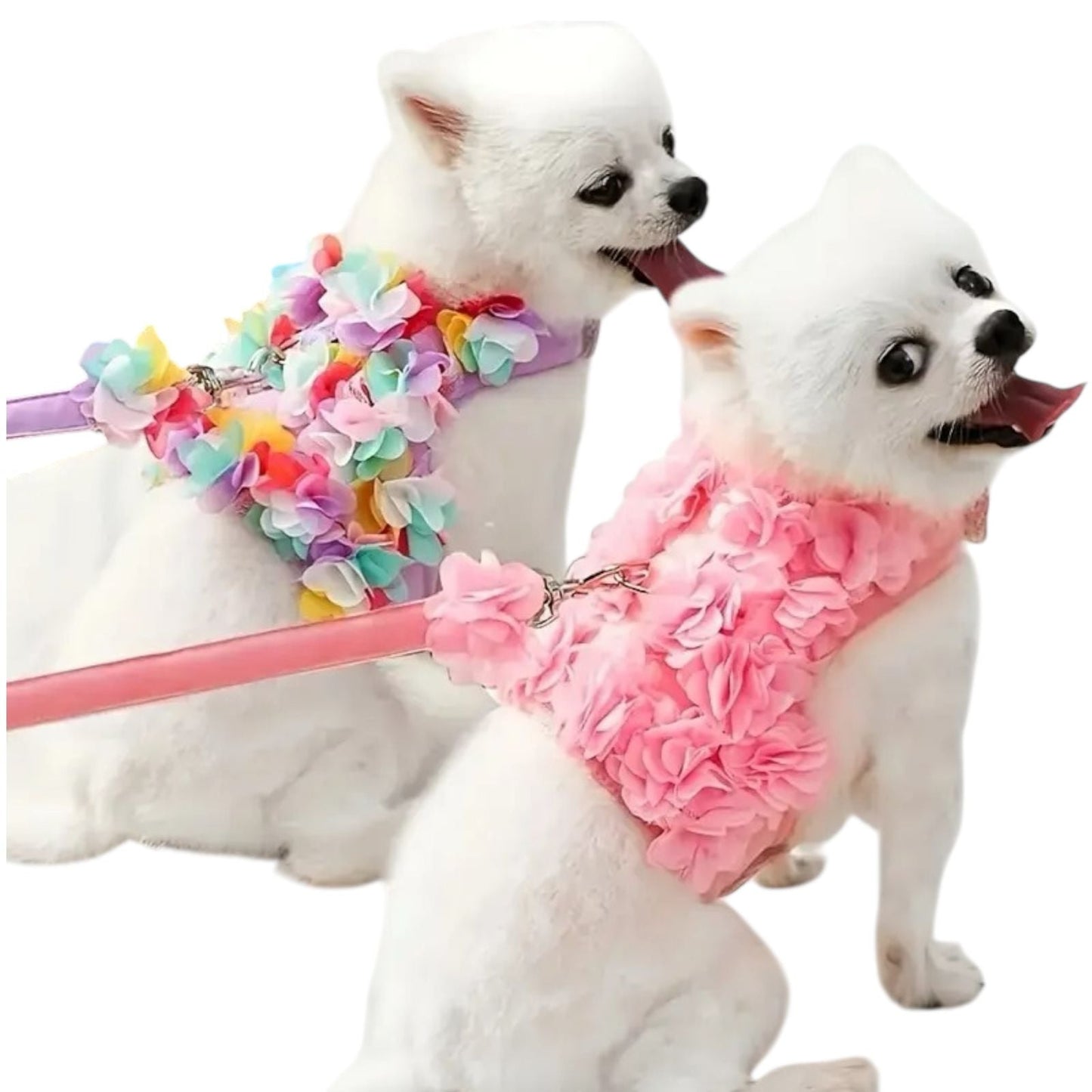 Pechera Floral con Correa - MiPerro.com
