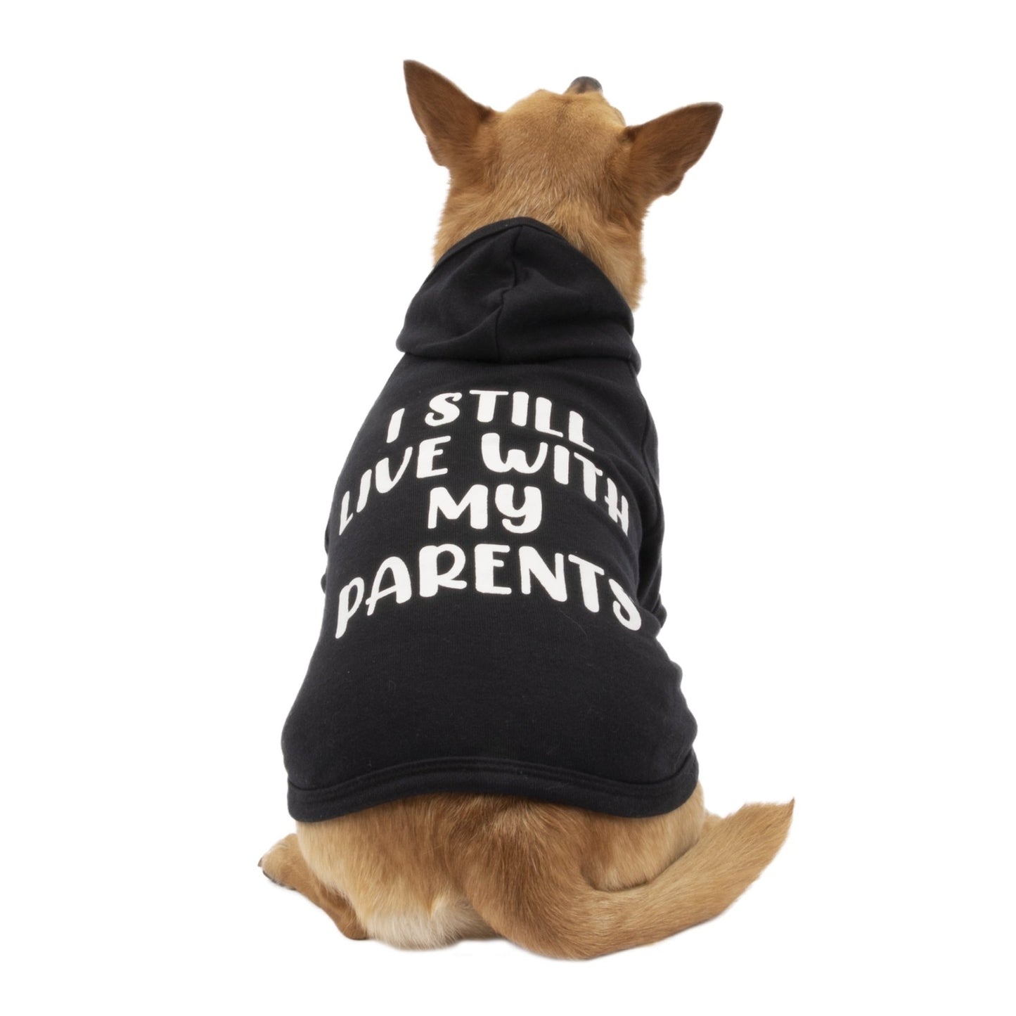 Pop Crew- Hoodie Para Perro Talla S - MiPerro.com