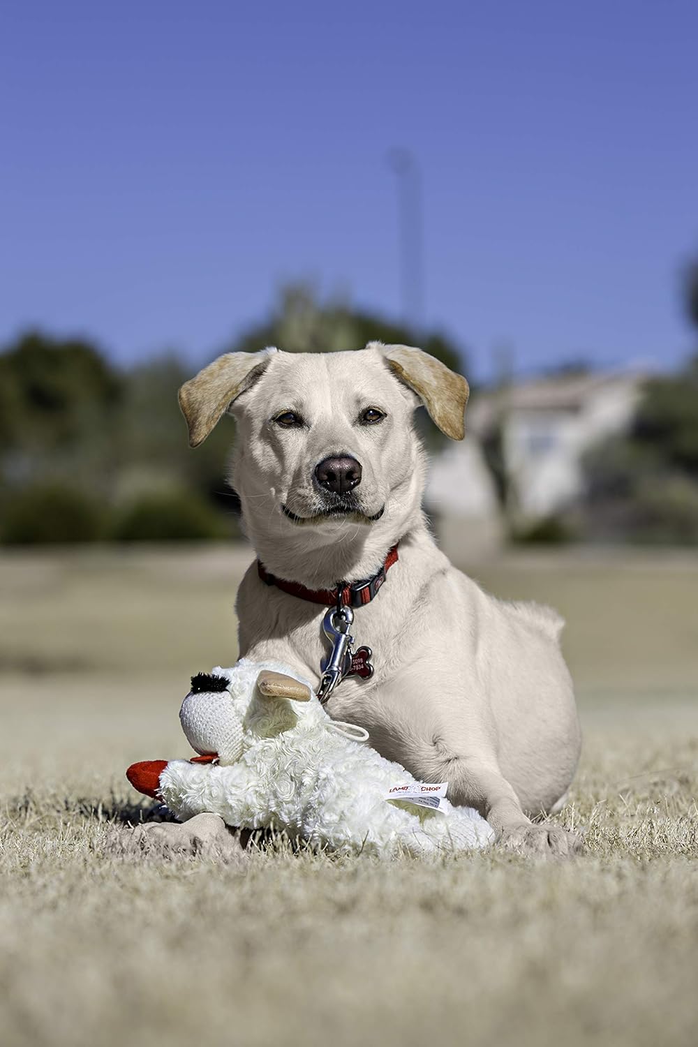 Multipet- Borrego de Peluche - MiPerro.com
