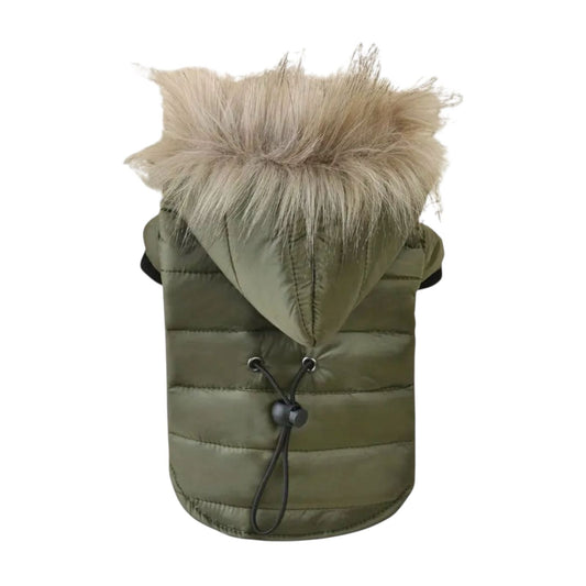Chamarra con Capucha Color Verde - MiPerro.com