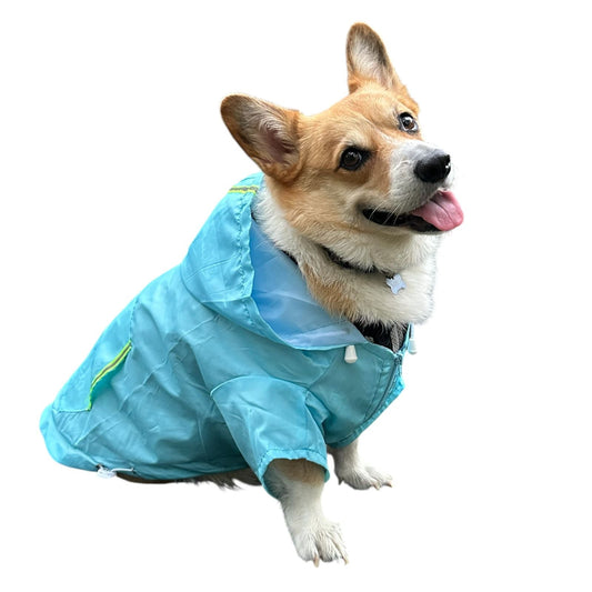 Chamarra Impermebale - MiPerro.com