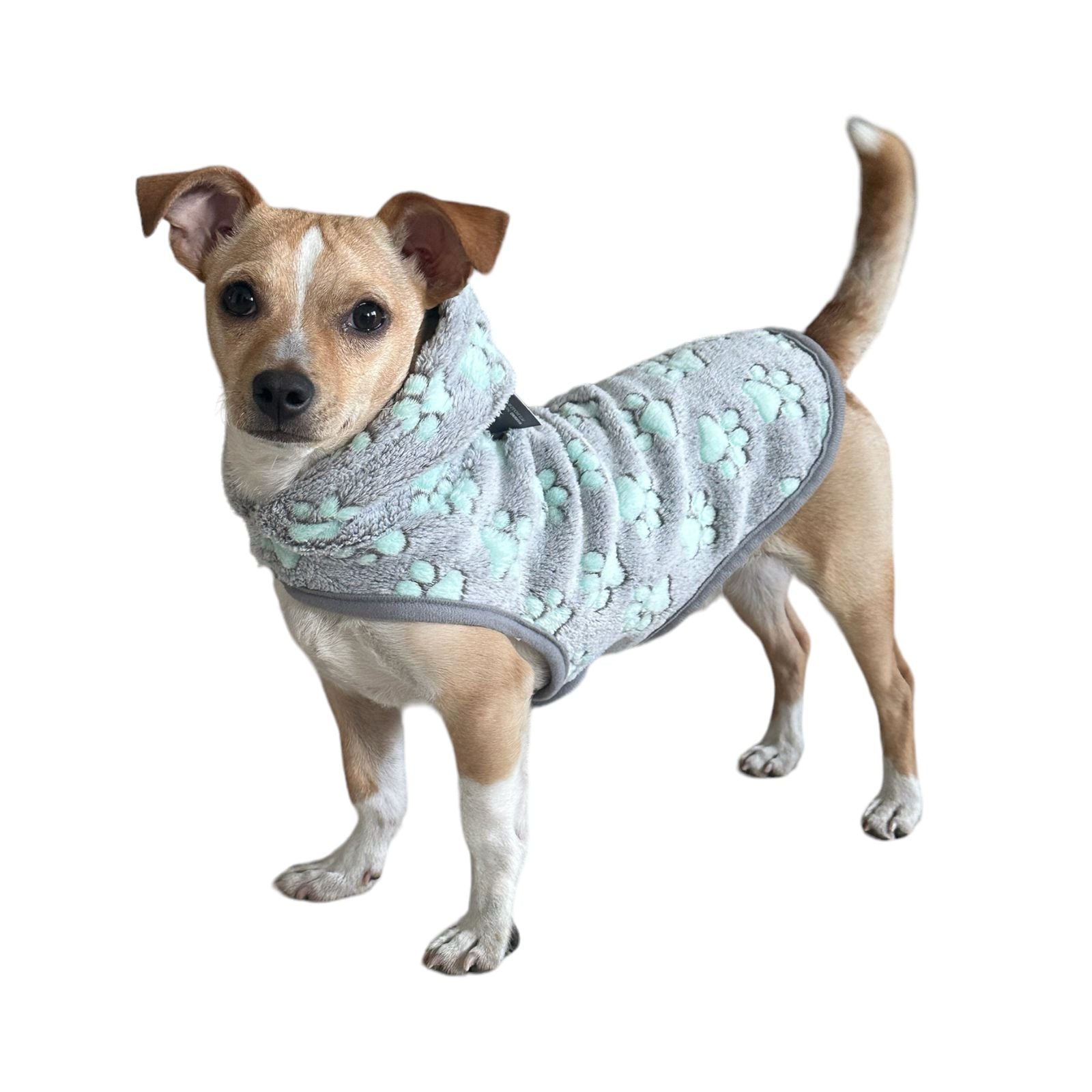 Fluffy Friends- Chamarra de Forro Polar para Perro- Talla M - MiPerro.com