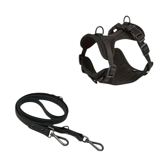 Pechera con Correa Color Negro - MiPerro.com