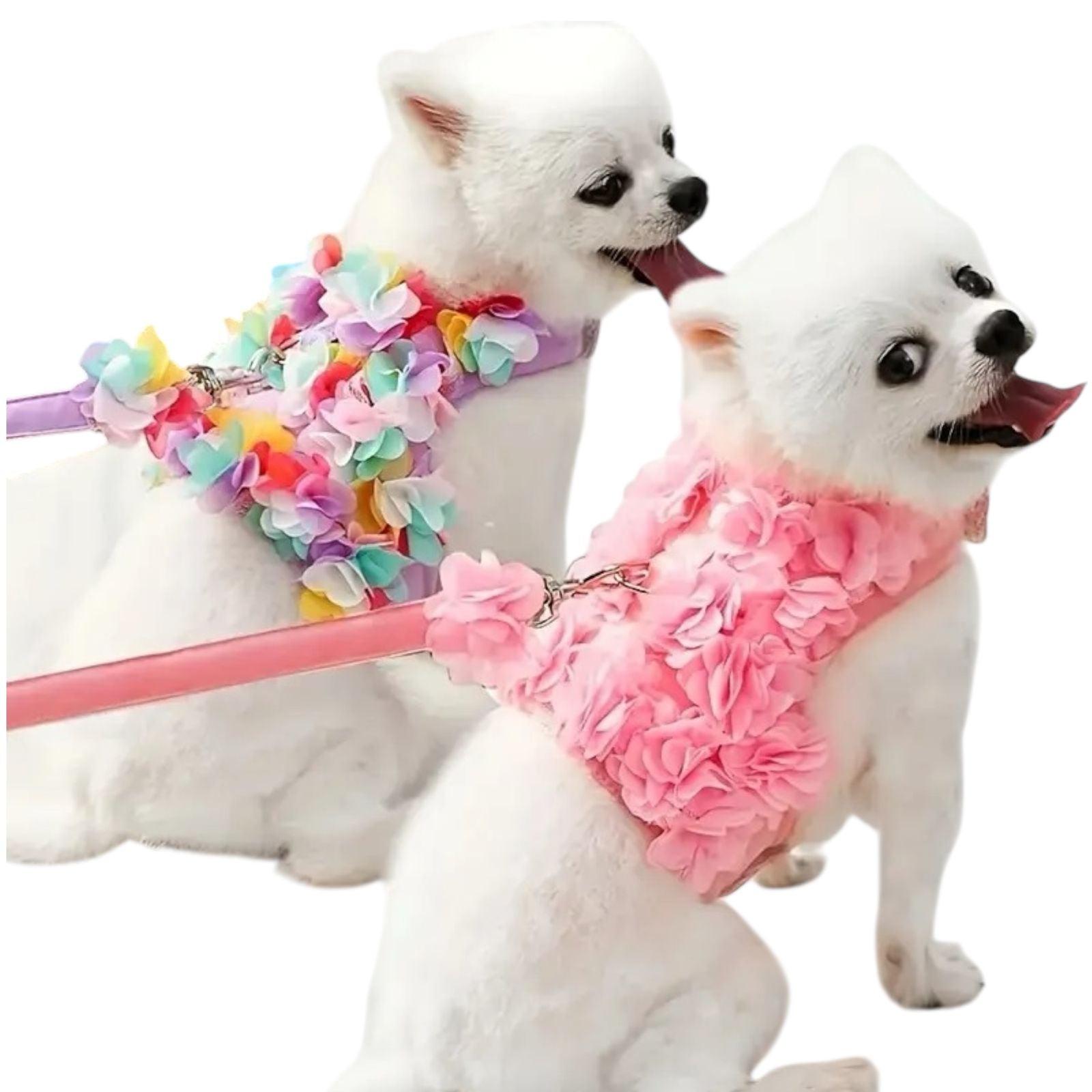 Pechera Floral con Correa - MiPerro.com